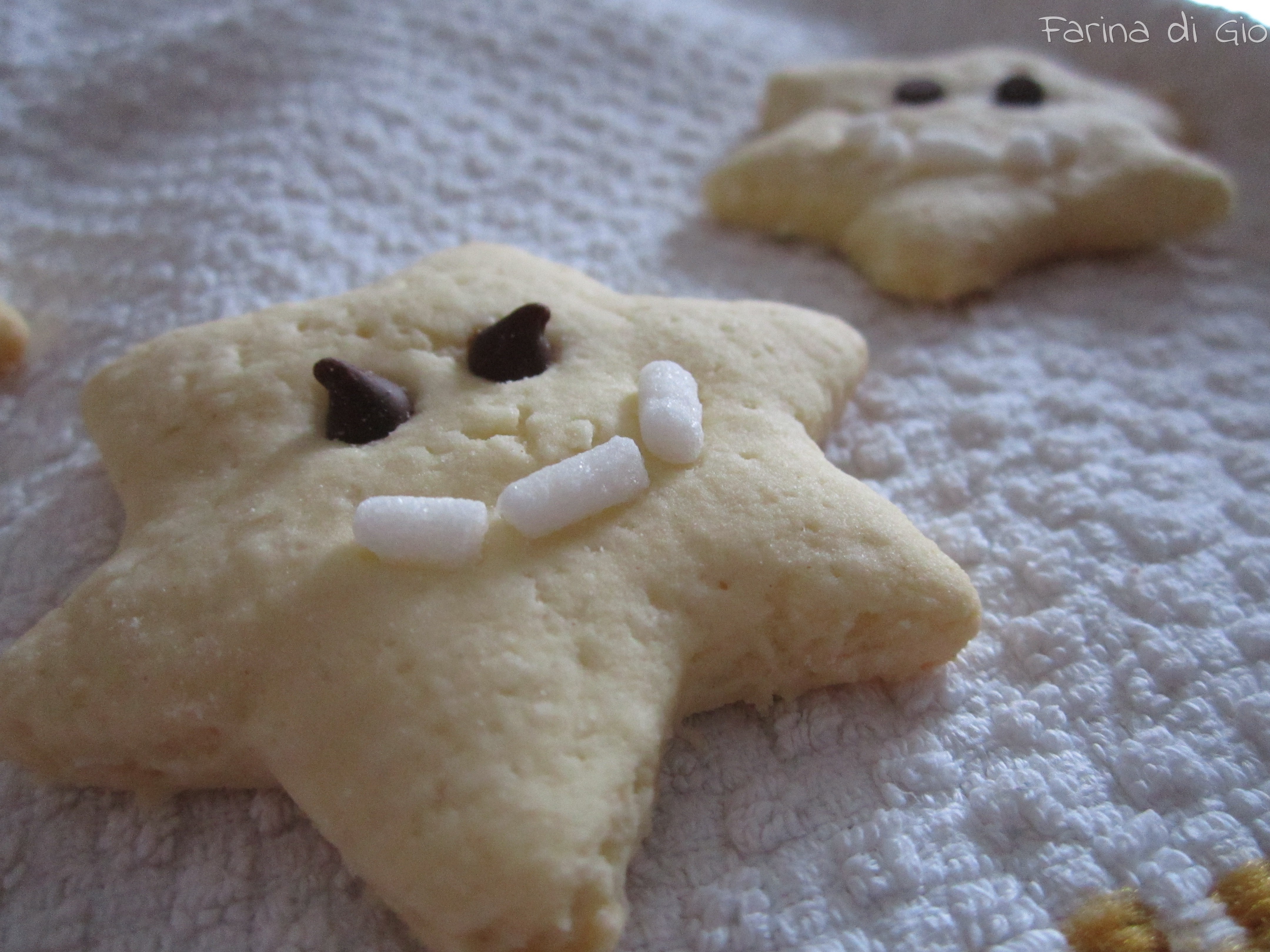 stelle cocco