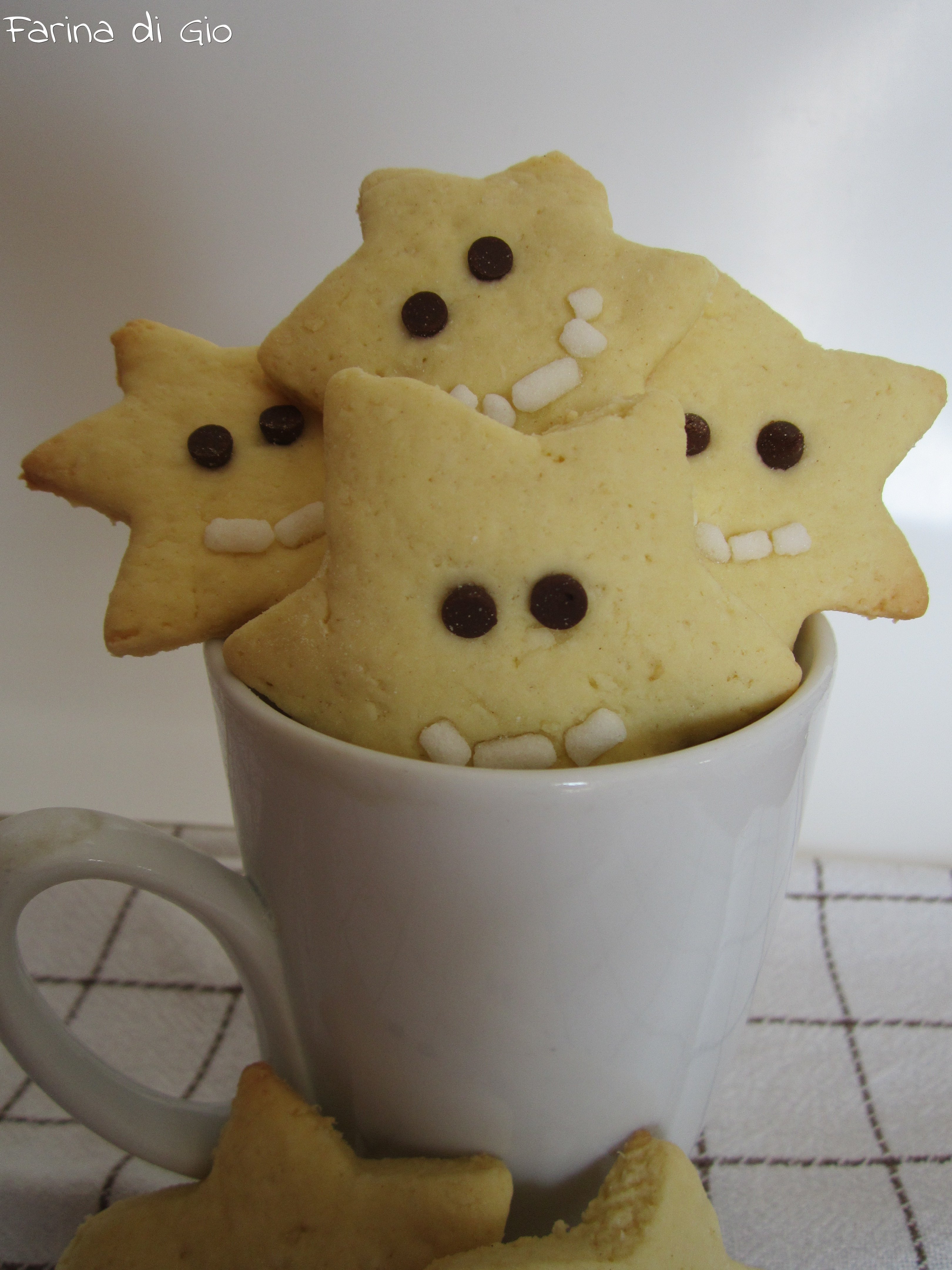 stelle cocco