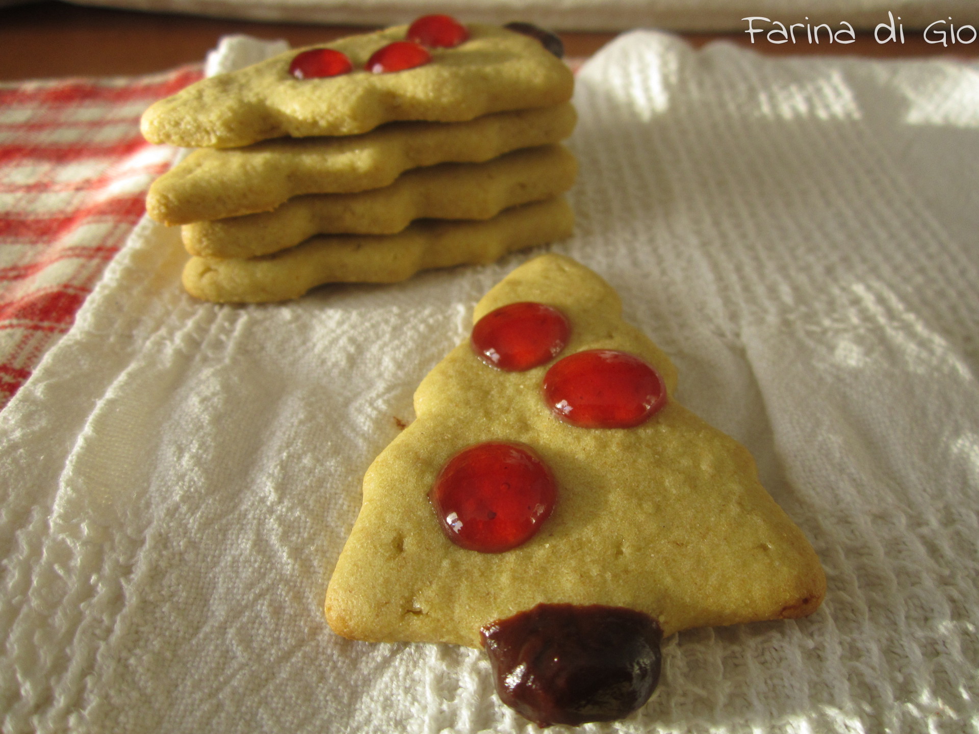 biscotti farina di farro