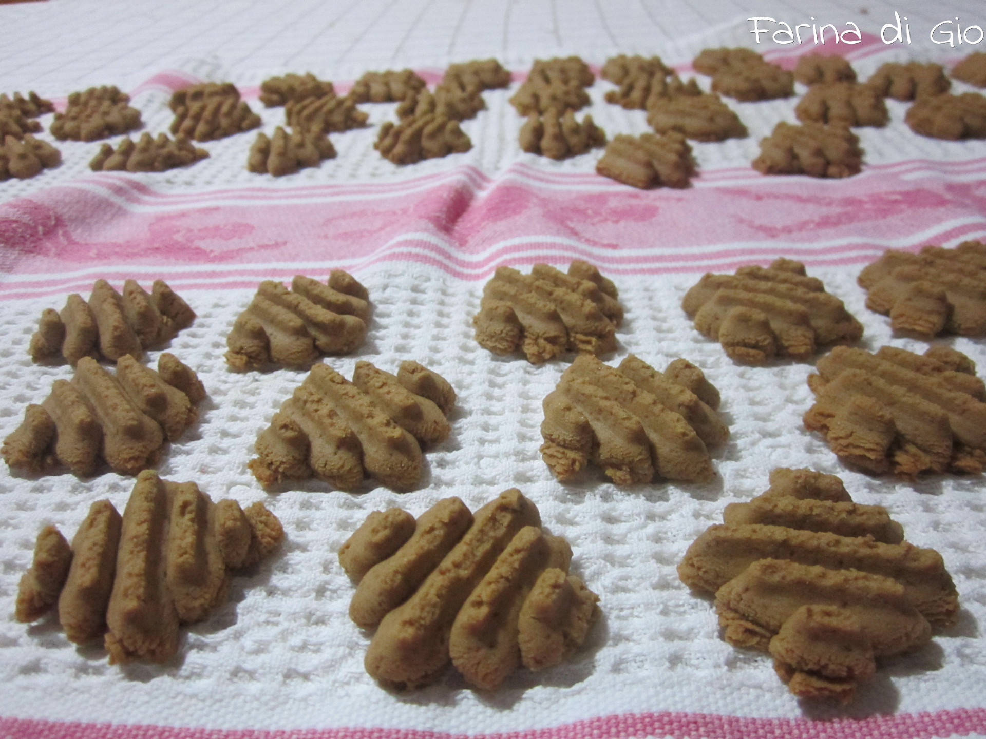 biscotti orzo