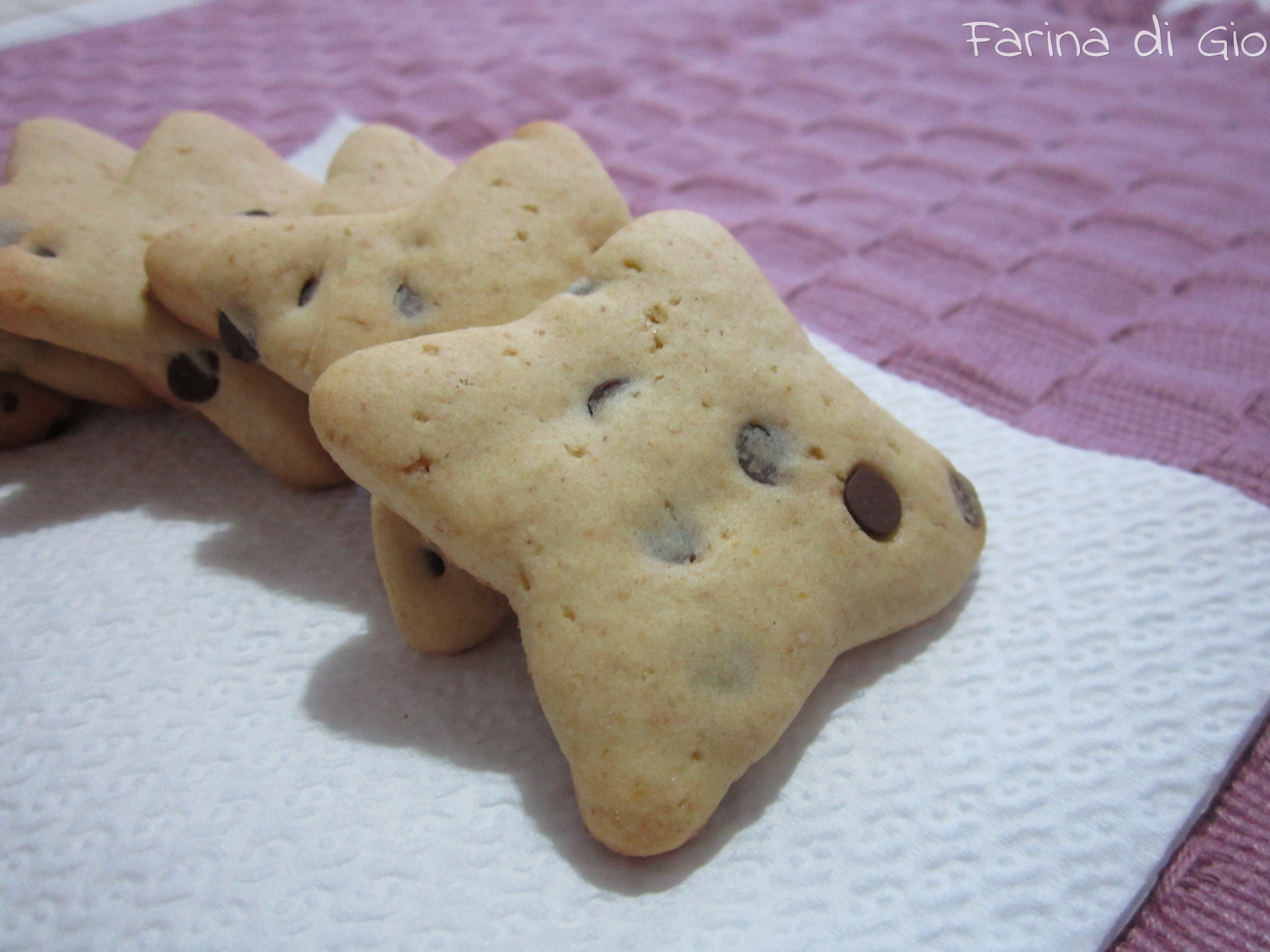 biscotti cioccolato