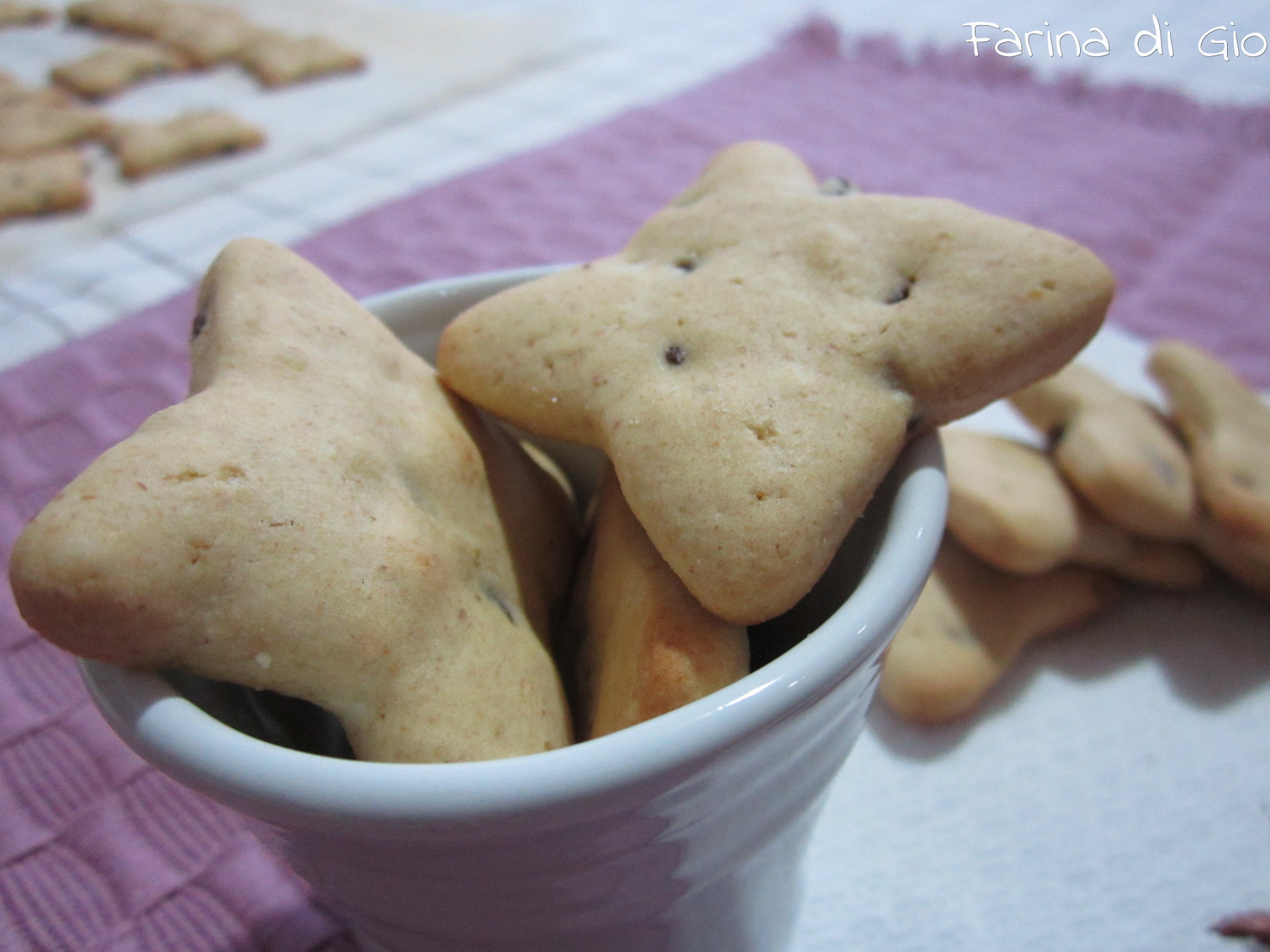 biscotti cioccolato