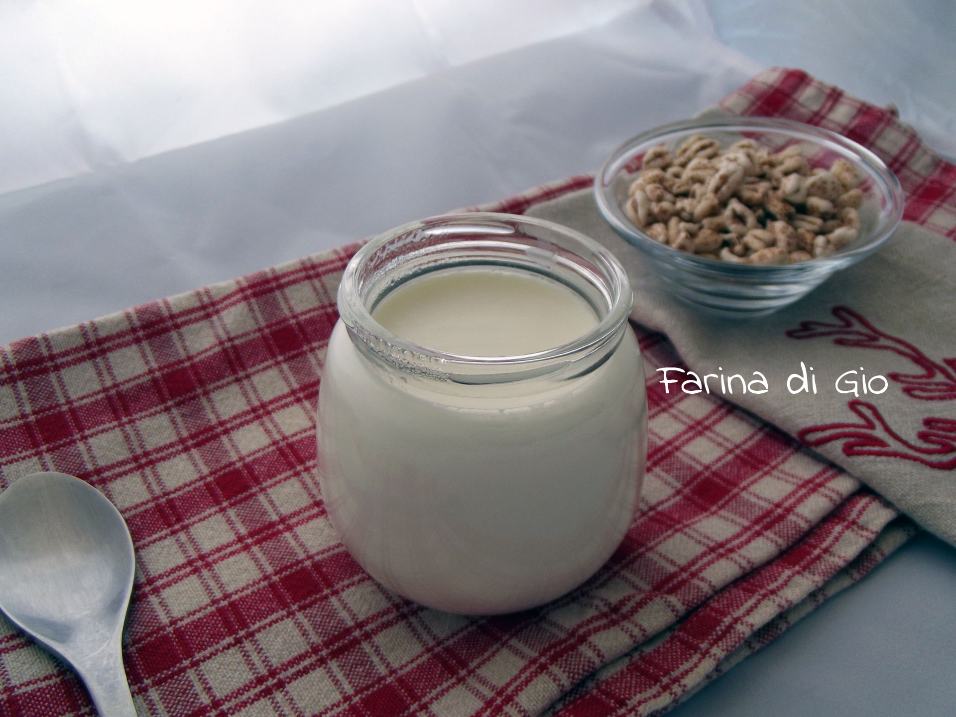 yogurt fatto con yogurtiera