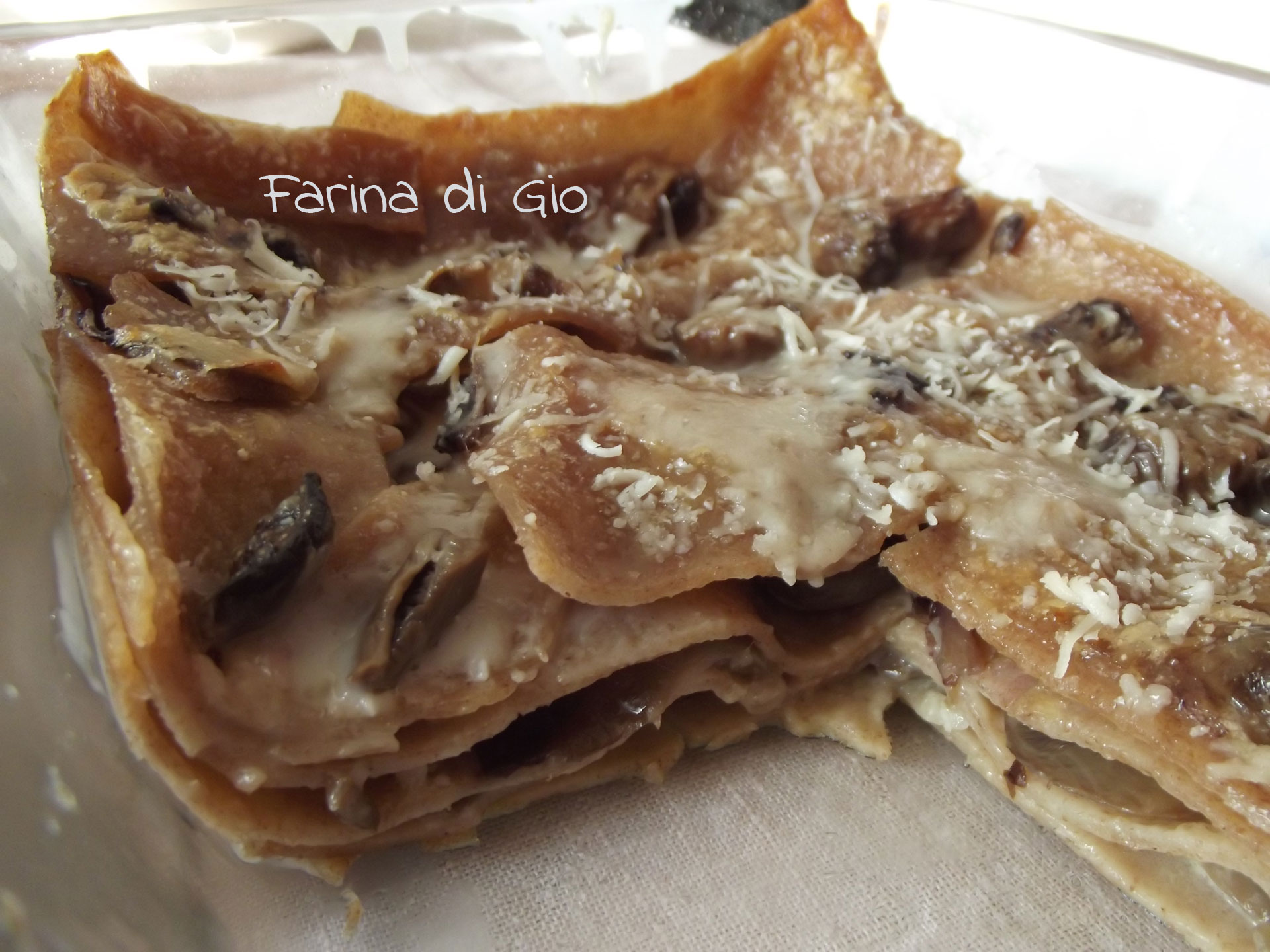 Lasagne di farro con champignon, radicchio e panna di avena